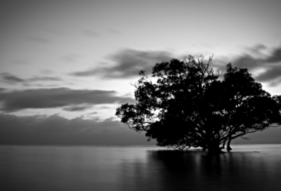 ​关于女生网名