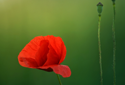 ​有关昵称女生