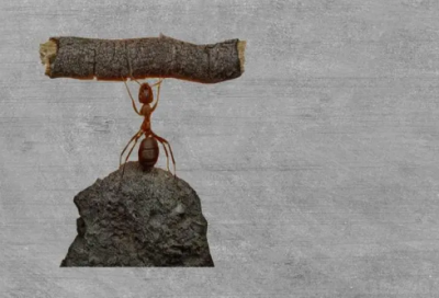 ​女性昵称文雅大全