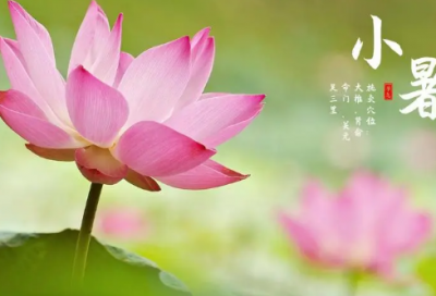 ​网名女（精选860个）