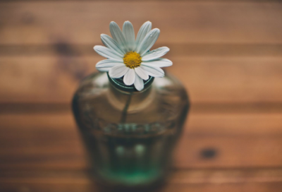 ​有诗意网名（精选500个）