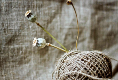 ​仙气十足的网名600个