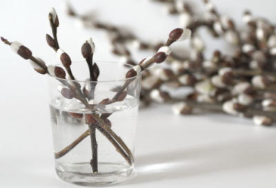 ​微信群名字大全