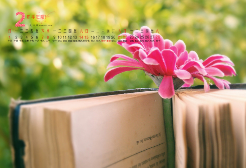 1685445139854659.png image.png