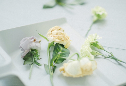 1685445638191225.png image.png