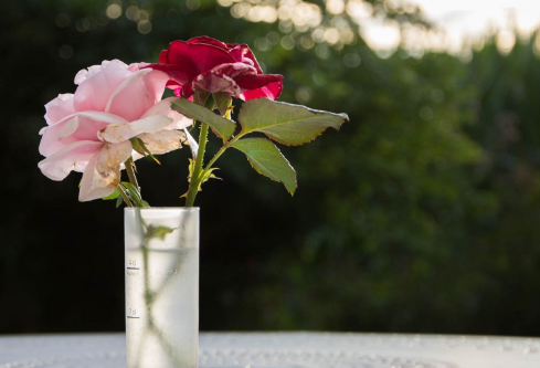 1685446304123377.png image.png