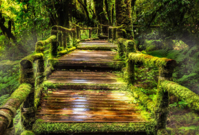 ​高端逗比的游戏名