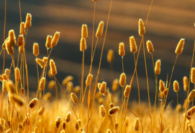 ​王者荣耀高端局温柔至极id大全