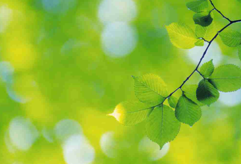 1685761529332797.png image.png