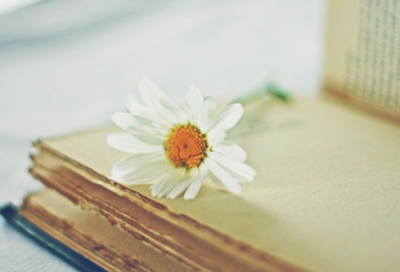 ​高傲独一无二王者荣耀男生名字俊逸