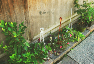 ​40一45岁女人微信名(共1740个)
