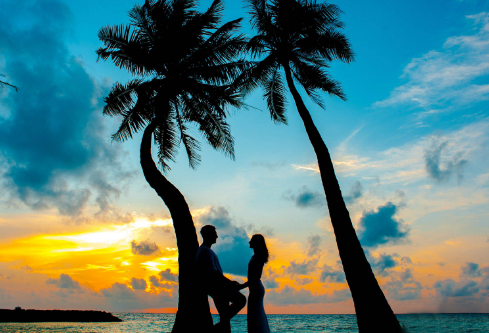 1686434008125086.png image.png