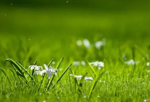 1686876921923244.png image.png