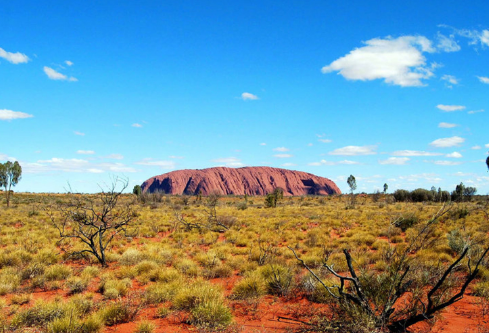 1686878122579081.png image.png