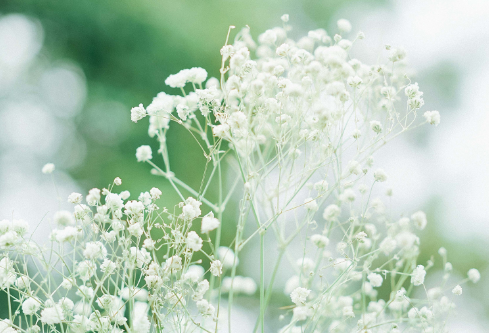 1686878292149499.png image.png