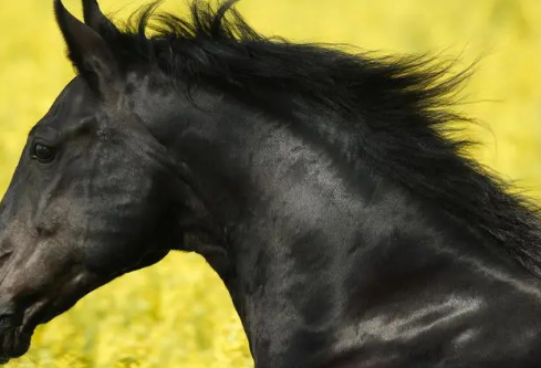 1686878804232285.png image.png