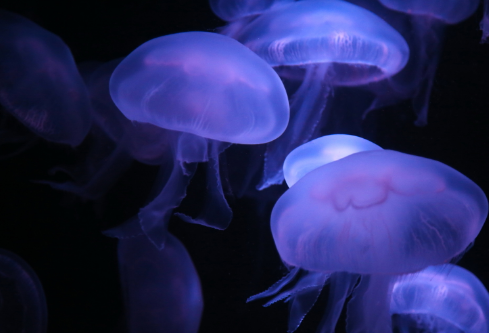 1686879656606979.png image.png