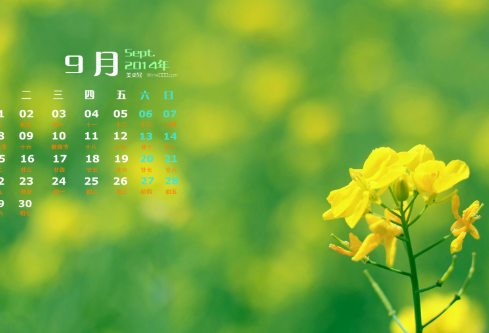 1686881362495611.png image.png