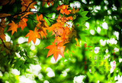 ​很拽的网名男生网名(优选287个)