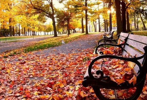 1686882385694817.png image.png