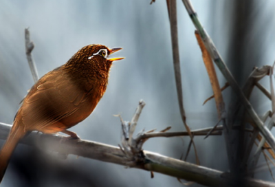​很有诗意的男生名字(优选403个)