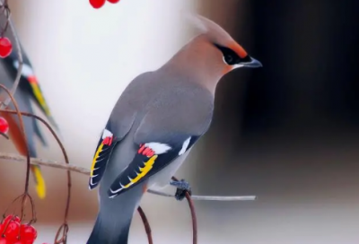 ​独一无二的霸气男网名(精选292个)