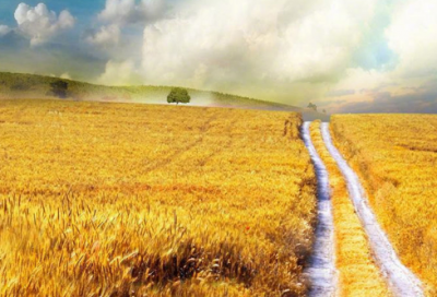 ​lol好听霸气男生名字两个字(优选360个)