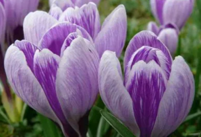 ​2023打动女人男网名(精选258个)