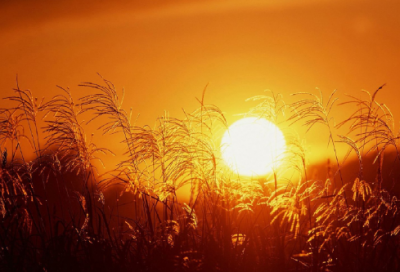 ​男生酷到炸的网名(精选275个)