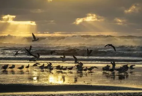 1686887171951245.png image.png