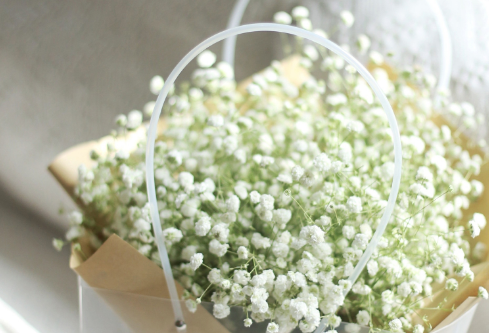 1686889729462304.png image.png