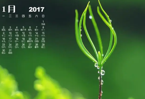 1686889899877115.png image.png