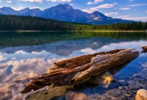 1686890070111896.png image.png