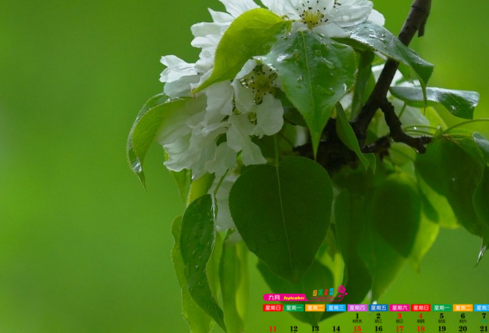 1686890923494689.png image.png