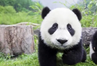 ​男生的网名好听又帅气精选(精选253个)