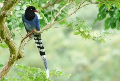 1686903047743520.png image.png