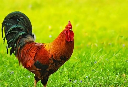 1686903218445638.png image.png