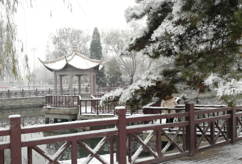 1686979747663931.png image.png