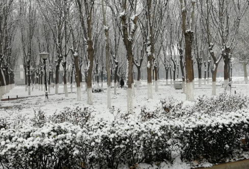 1686979912401451.png image.png