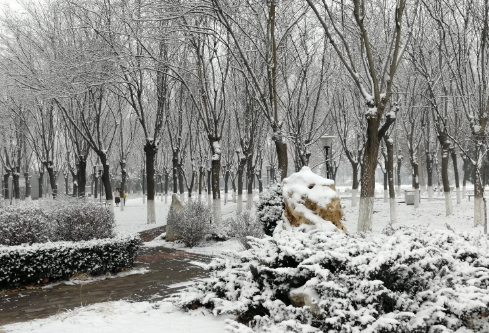 1686980741559803.png image.png