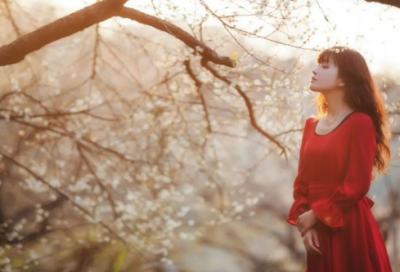 ​镇魔曲名字大全20xx