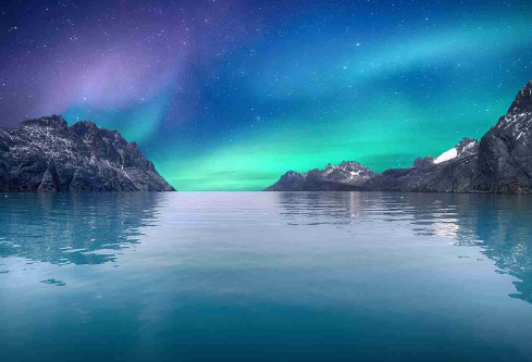 1687156020672565.png image.png