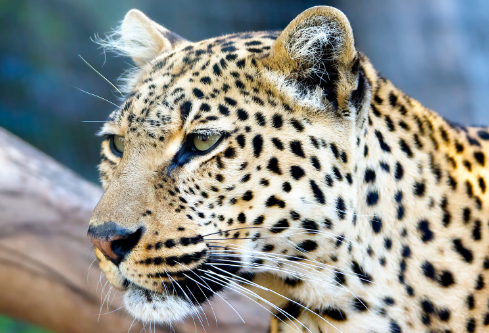 1687156354803037.png image.png