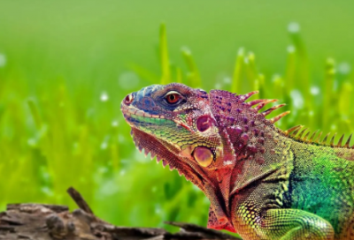 ​宝藏女孩这样起名，冷门惊艳的名字，好听不重名