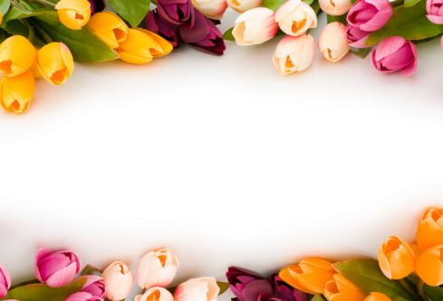 1687156686298720.png image.png