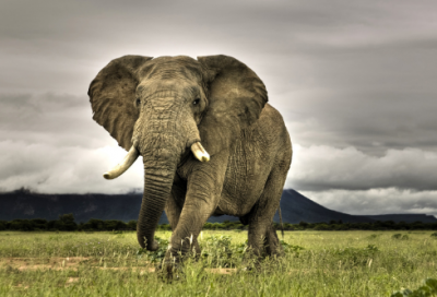 ​女宝宝起名字带字义的女孩名字推荐