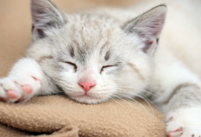 ​宝宝起名安安逸逸、安居乐俗的男孩女孩名字推荐