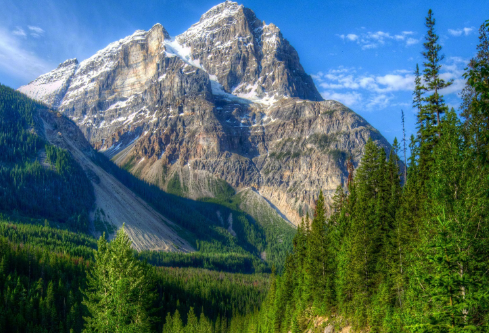 1687159016655251.png image.png