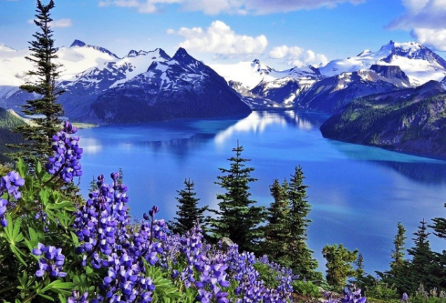 1687159848900371.png image.png