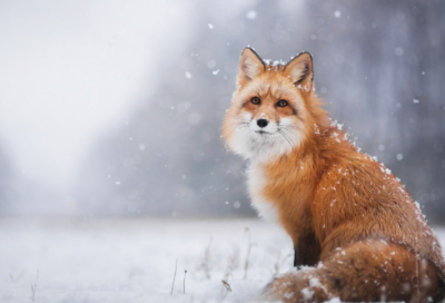 ​女孩起名，光彩照人，好运连连的女宝宝名字大全